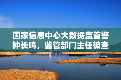 国家信息中心大数据监管警钟长鸣，监管部门主任被查后的反思与行动指南