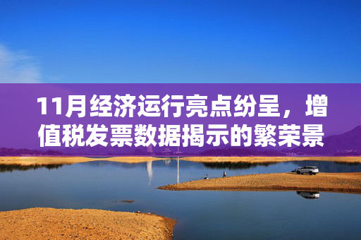 11月经济运行亮点纷呈，增值税发票数据揭示的繁荣景象