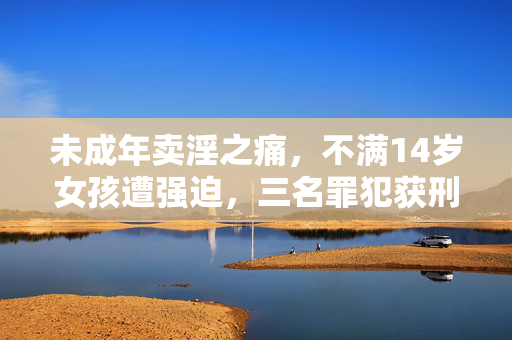 未成年卖淫之痛，不满14岁女孩遭强迫，三名罪犯获刑