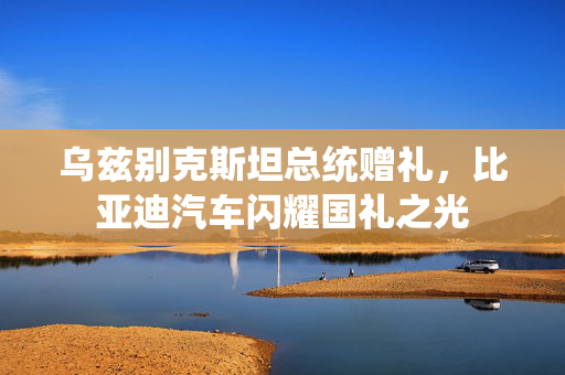 乌兹别克斯坦总统赠礼，比亚迪汽车闪耀国礼之光