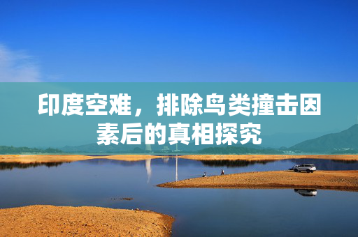 印度空难，排除鸟类撞击因素后的真相探究