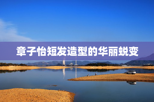 章子怡短发造型的华丽蜕变