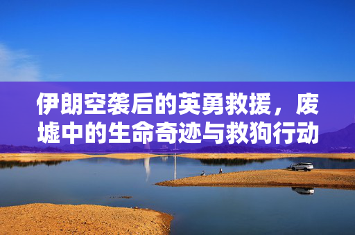 伊朗空袭后的英勇救援，废墟中的生命奇迹与救狗行动