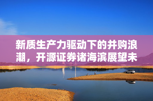 新质生产力驱动下的并购浪潮，开源证券诸海滨展望未来优质企业塑造趋势