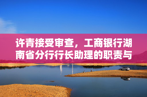 许青接受审查，工商银行湖南省分行行长助理的职责与责任