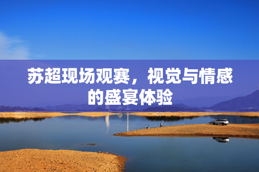 苏超现场观赛，视觉与情感的盛宴体验