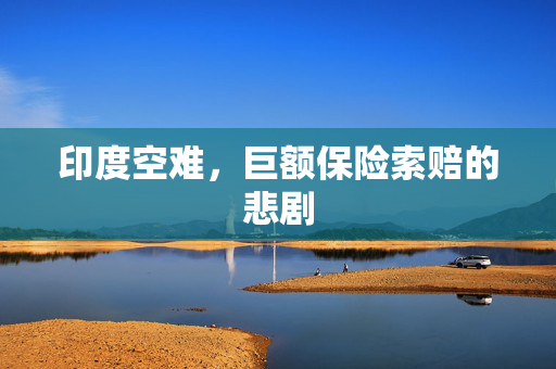 印度空难，巨额保险索赔的悲剧