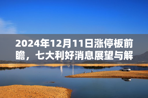 2024年12月11日涨停板前瞻，七大利好消息展望与解析