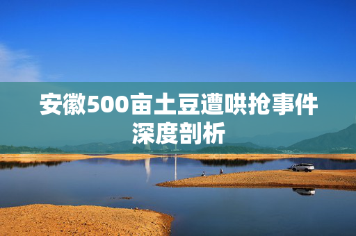 安徽500亩土豆遭哄抢事件深度剖析