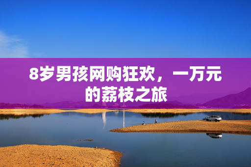 8岁男孩网购狂欢，一万元的荔枝之旅