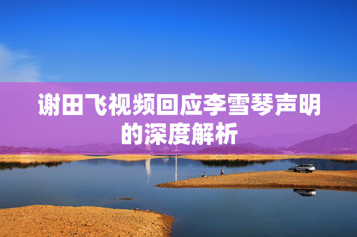 谢田飞视频回应李雪琴声明的深度解析