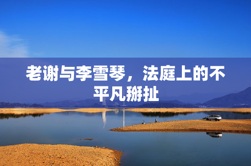 老谢与李雪琴，法庭上的不平凡掰扯