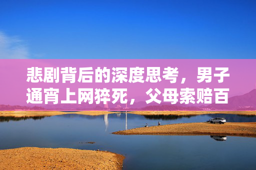 悲剧背后的深度思考，男子通宵上网猝死，父母索赔百万的真相