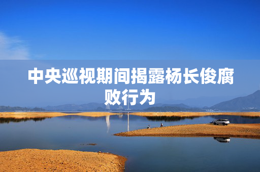 中央巡视期间揭露杨长俊腐败行为