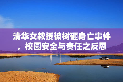 清华女教授被树砸身亡事件，校园安全与责任之反思