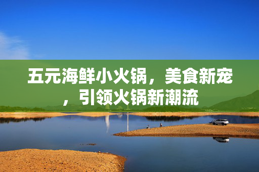 五元海鲜小火锅，美食新宠，引领火锅新潮流