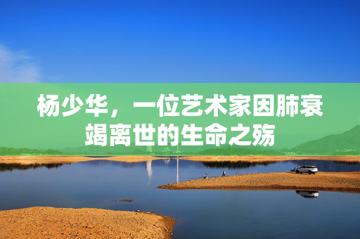 杨少华，一位艺术家因肺衰竭离世的生命之殇