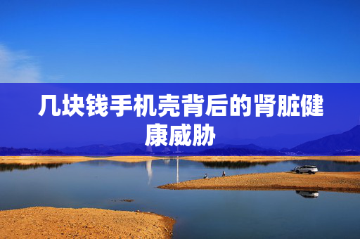 几块钱手机壳背后的肾脏健康威胁