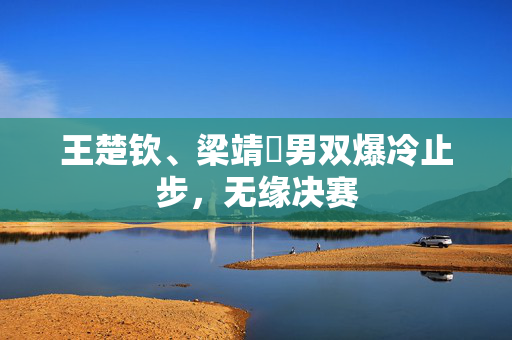 王楚钦、梁靖崑男双爆冷止步，无缘决赛