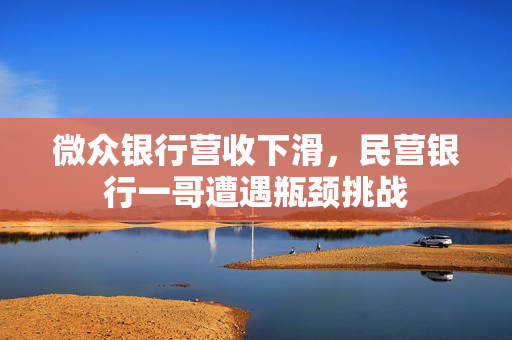 微众银行营收下滑，民营银行一哥遭遇瓶颈挑战