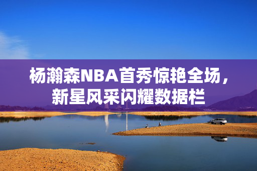杨瀚森NBA首秀惊艳全场，新星风采闪耀数据栏