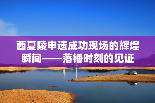 西夏陵申遗成功现场的辉煌瞬间——落锤时刻的见证