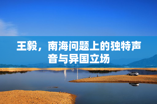 王毅，南海问题上的独特声音与异国立场