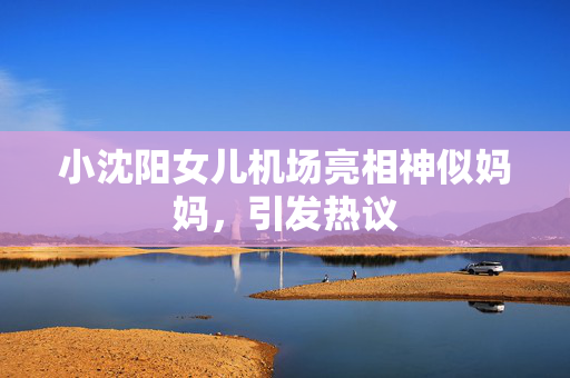 小沈阳女儿机场亮相神似妈妈，引发热议
