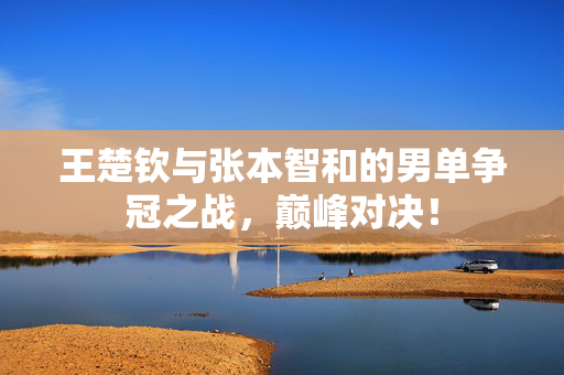 王楚钦与张本智和的男单争冠之战，巅峰对决！