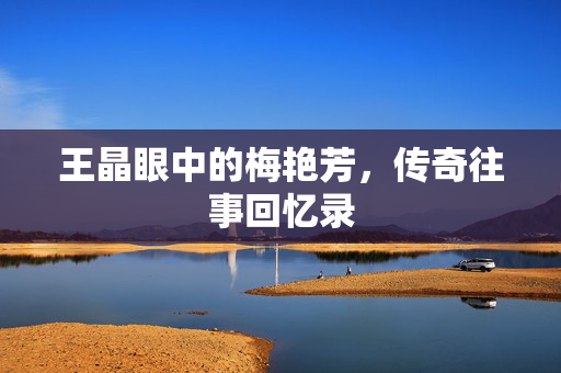 王晶眼中的梅艳芳，传奇往事回忆录