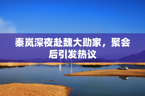 秦岚深夜赴魏大勋家，聚会后引发热议