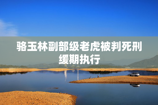 骆玉林副部级老虎被判死刑缓期执行