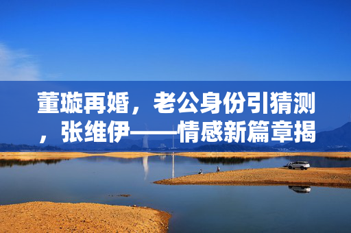 董璇再婚，老公身份引猜测，张维伊——情感新篇章揭秘