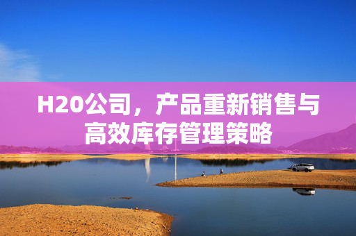 H20公司，产品重新销售与高效库存管理策略