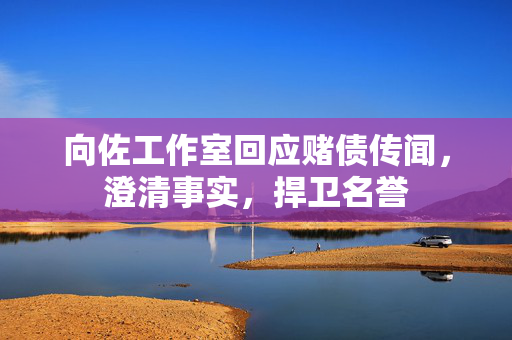 向佐工作室回应赌债传闻，澄清事实，捍卫名誉