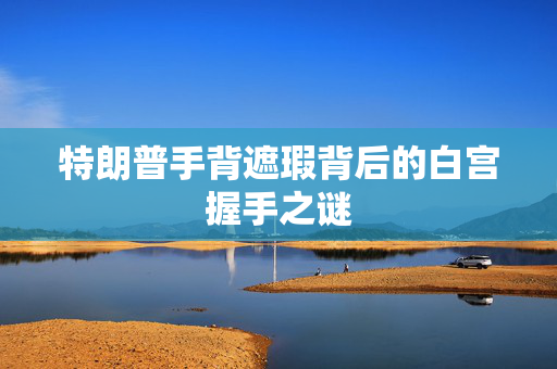 特朗普手背遮瑕背后的白宫握手之谜