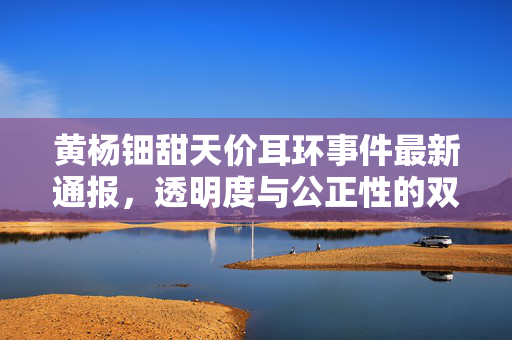 黄杨钿甜天价耳环事件最新通报，透明度与公正性的双重审视