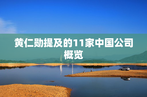 黄仁勋提及的11家中国公司概览