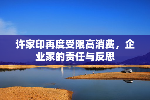 许家印再度受限高消费，企业家的责任与反思
