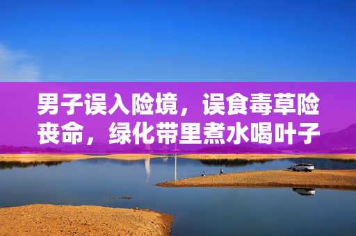 男子误入险境，误食毒草险丧命，绿化带里煮水喝叶子惊魂记