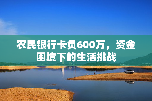 农民银行卡负600万，资金困境下的生活挑战