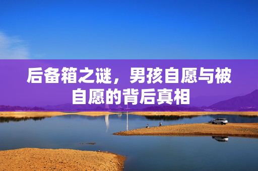 后备箱之谜，男孩自愿与被自愿的背后真相