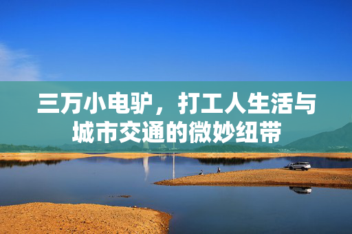 三万小电驴，打工人生活与城市交通的微妙纽带
