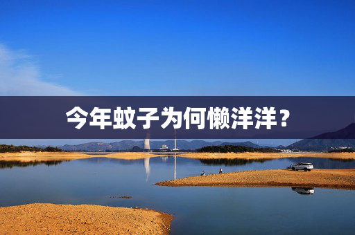 今年蚊子为何懒洋洋？