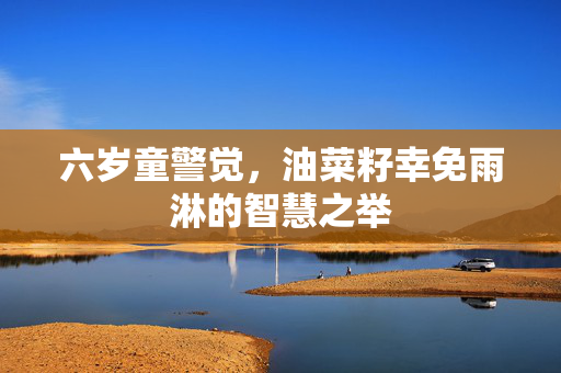 六岁童警觉，油菜籽幸免雨淋的智慧之举