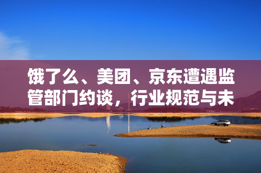 饿了么、美团、京东遭遇监管部门约谈，行业规范与未来展望