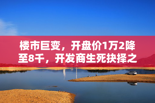 楼市巨变，开盘价1万2降至8千，开发商生死抉择之际的楼市风云