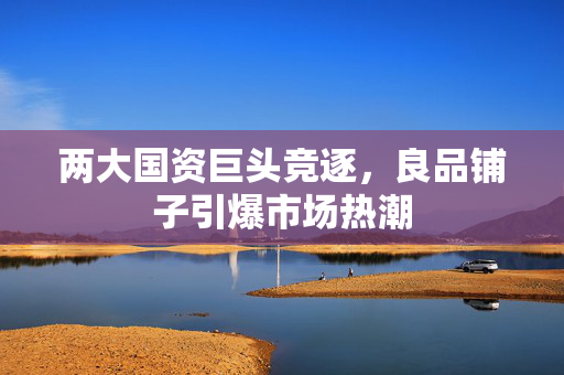 两大国资巨头竞逐，良品铺子引爆市场热潮