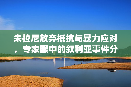 朱拉尼放弃抵抗与暴力应对，专家眼中的叙利亚事件分析
