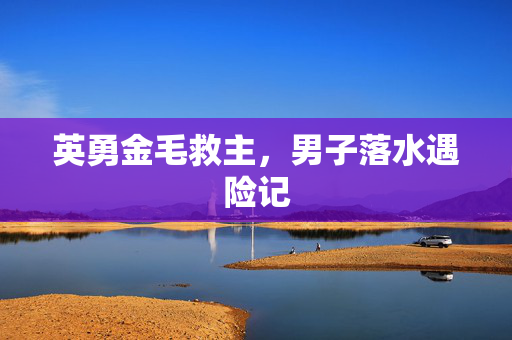 英勇金毛救主，男子落水遇险记